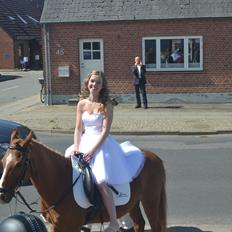 DSP Apollo (Polle fisen) <3