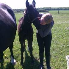 Oldenborg Sjamør Nyholm