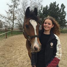 Tysk Sportspony Emira C *A-pony*