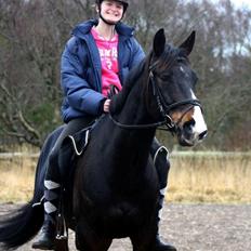 DSP Castellana Kærlund