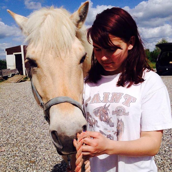 Fjordhest Hjarl - Velkommen til Hjarl's profil billede 1