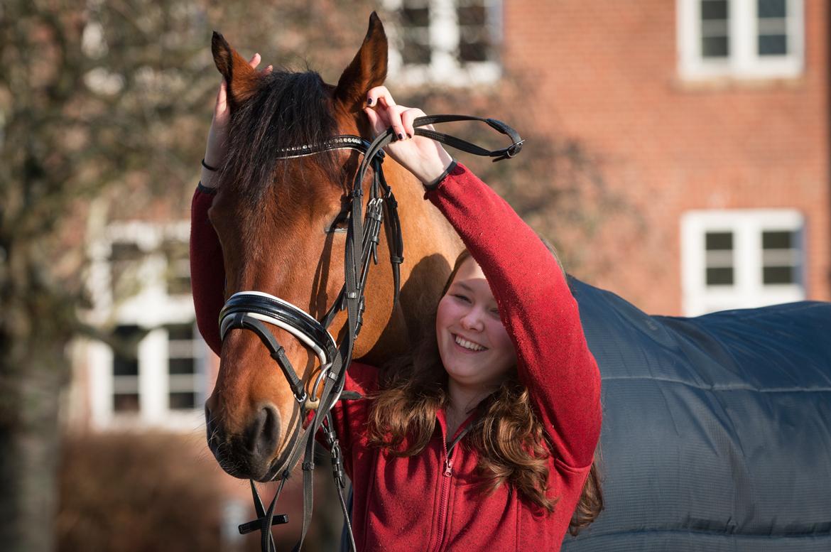 Anden særlig race Archibald - Vil ikke have ørene frem!! billede 4