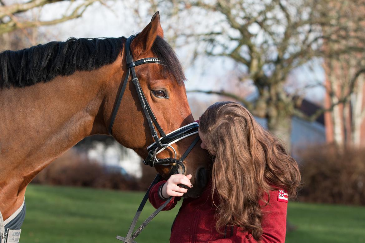 Anden særlig race Archibald - Foto: Cecilie Graversen billede 10