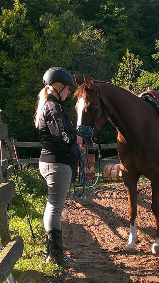 Quarter Special made by Poca billede 19