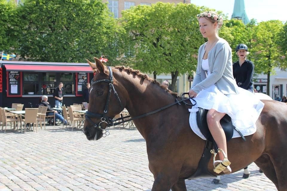 Tysk Sportspony Darling - D til min konfirmation d. 16/5 <3 billede 2