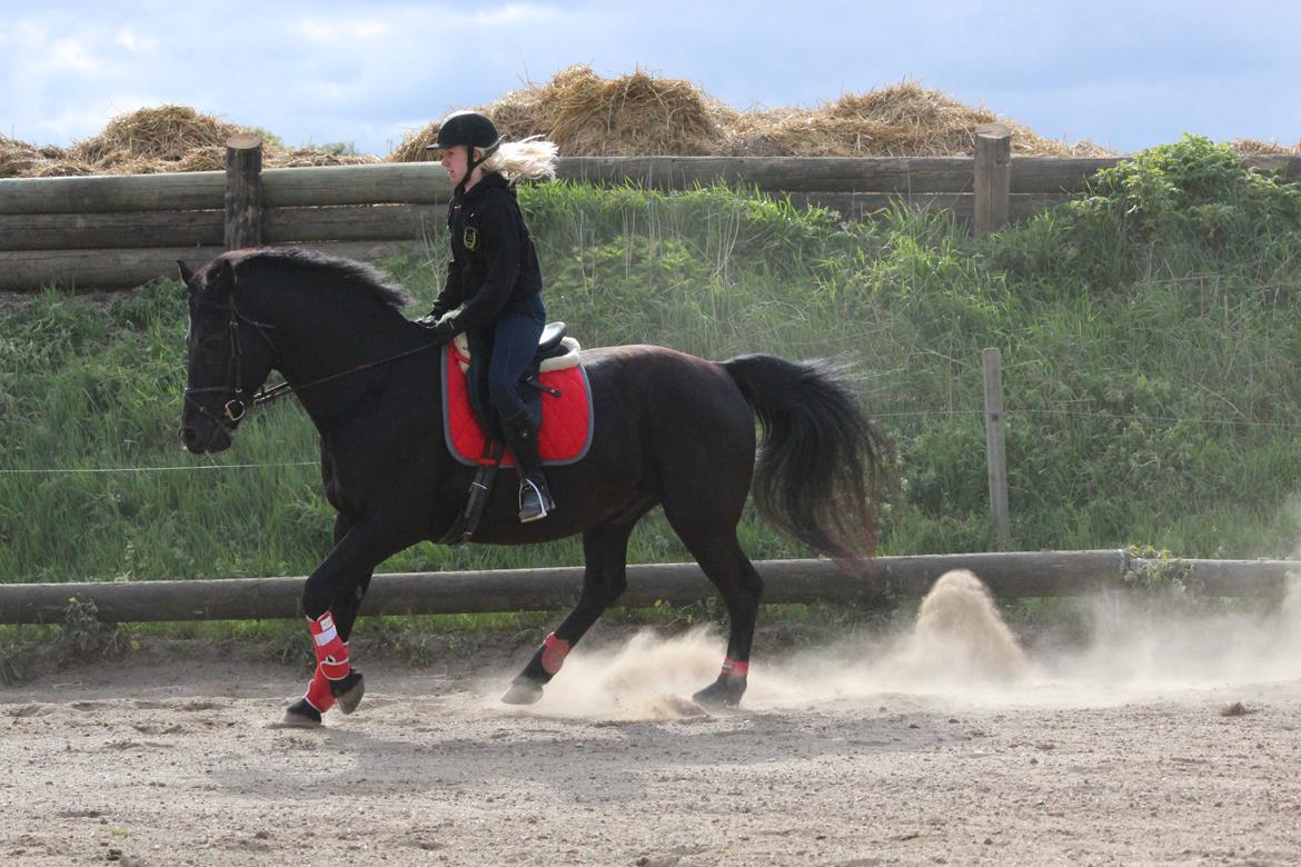 Oldenborg Gaston billede 19