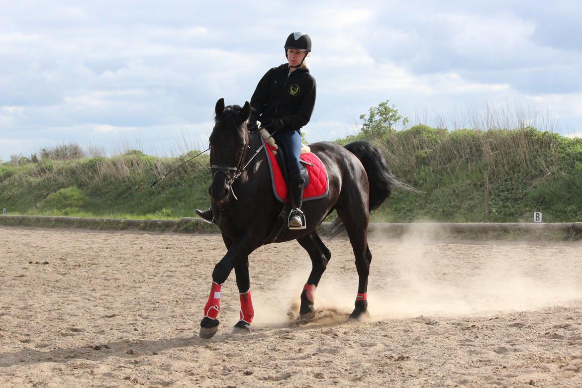 Oldenborg Gaston billede 3