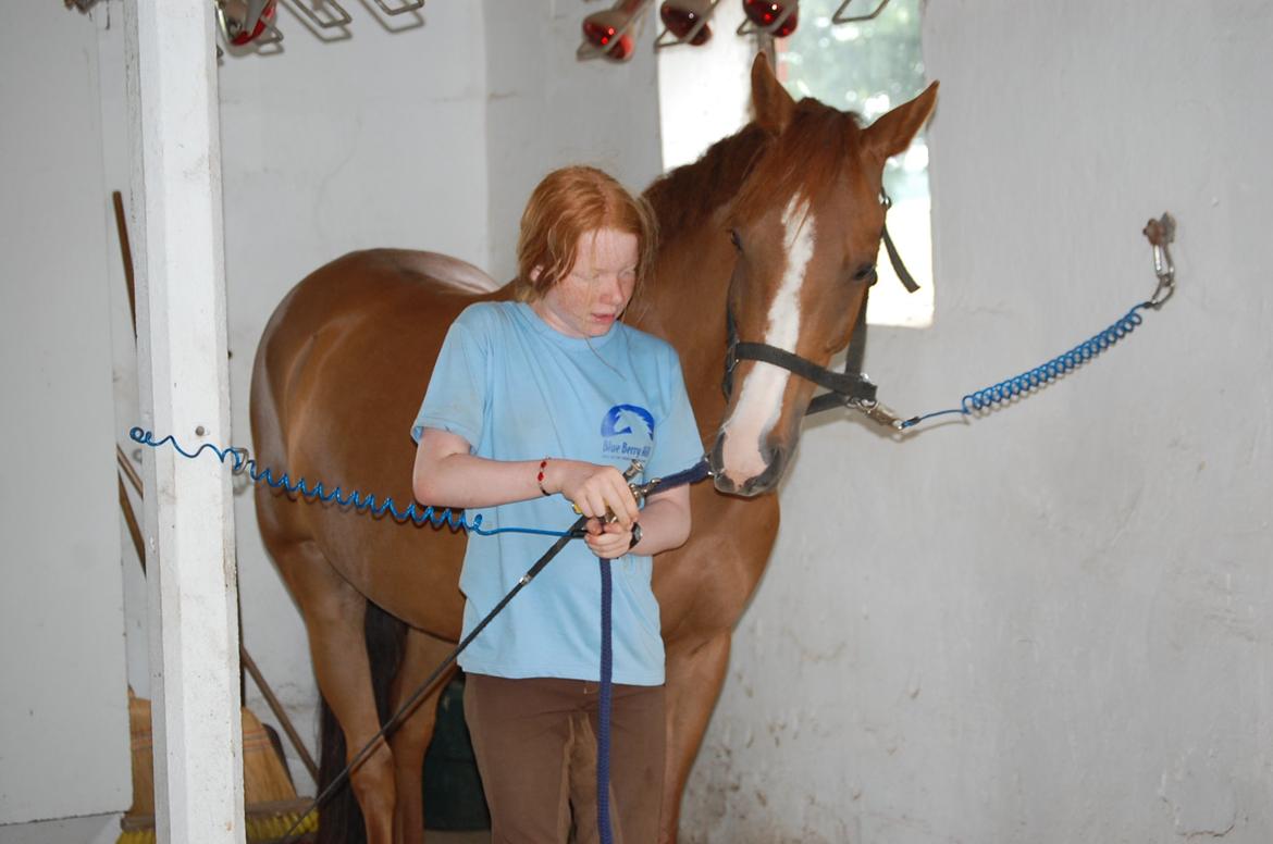 DSP Casino billede 8