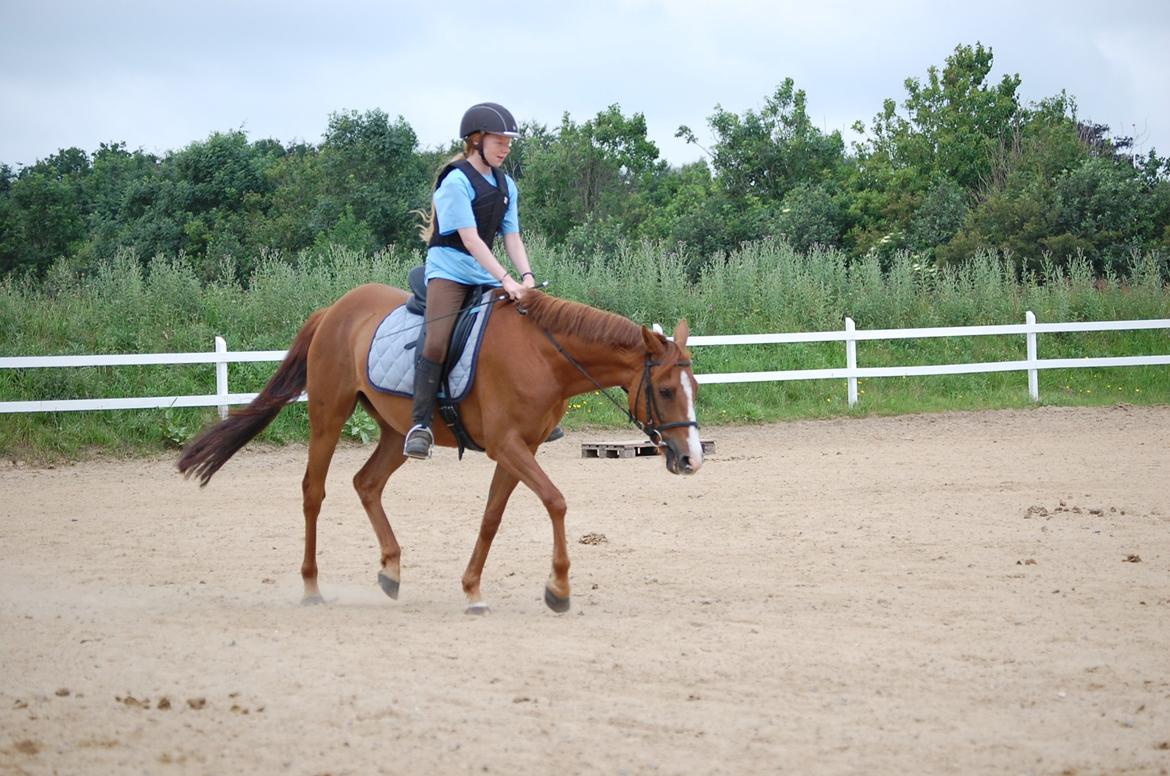 DSP Casino billede 2