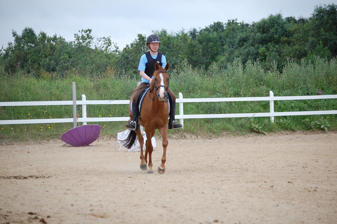 DSP Casino billede 11