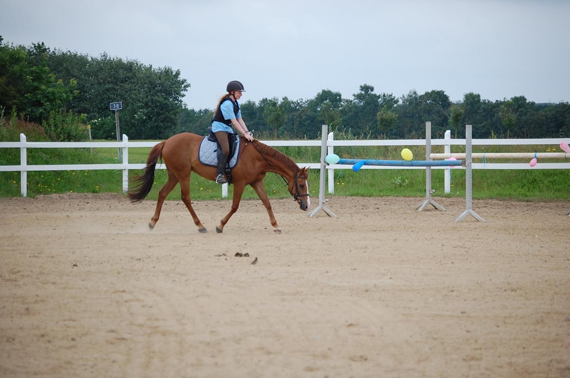 DSP Casino billede 12