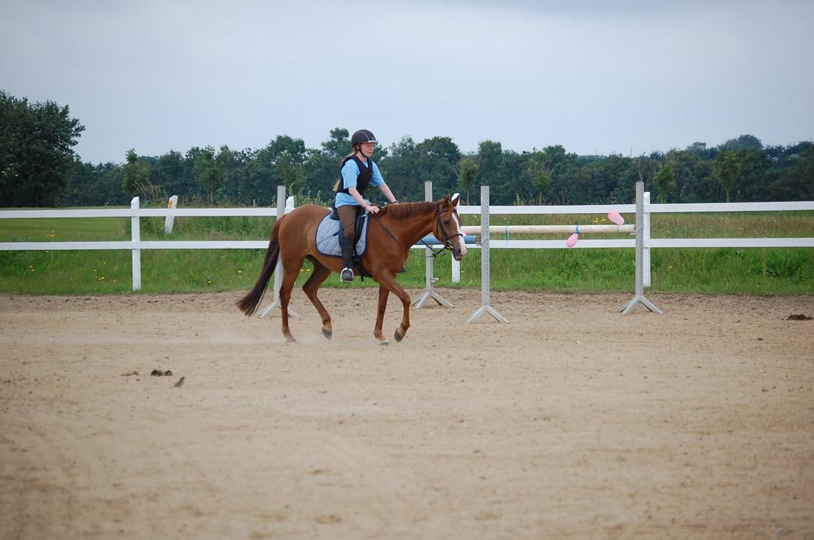 DSP Casino billede 15