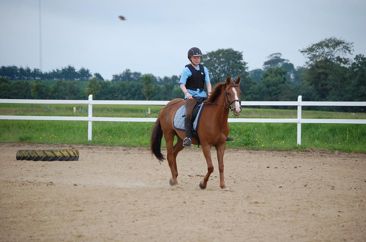 DSP Casino billede 18