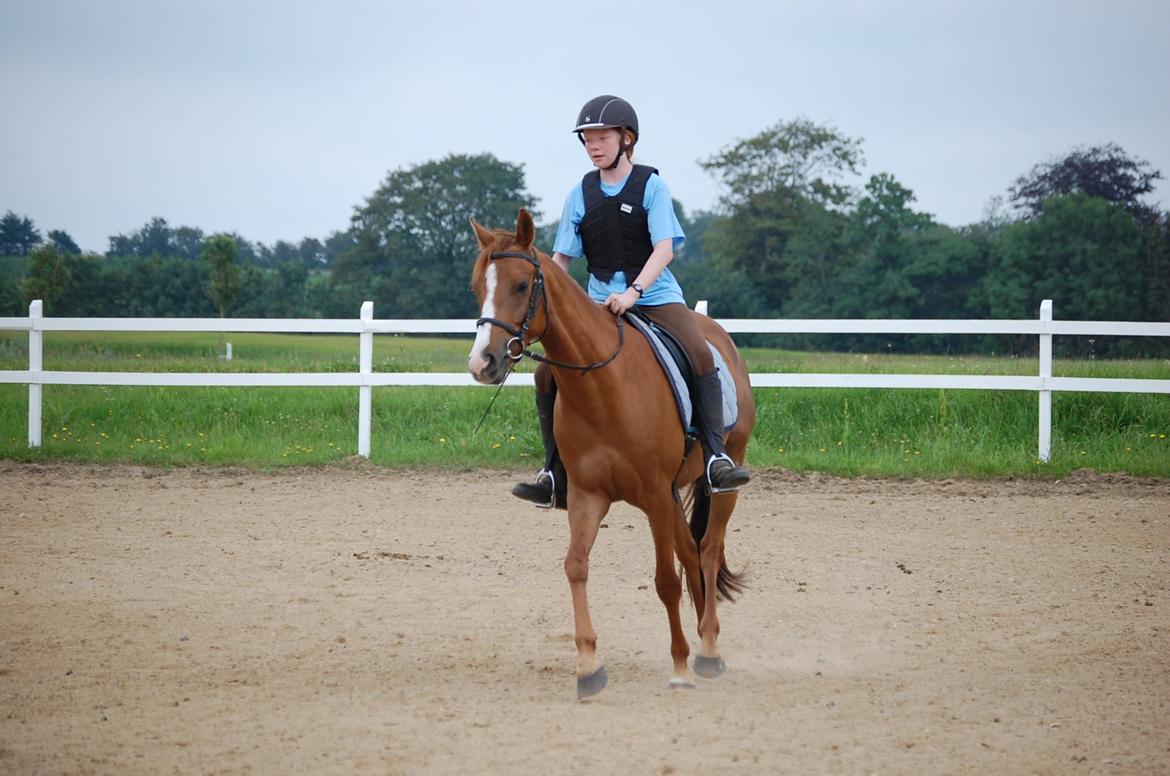 DSP Casino billede 9