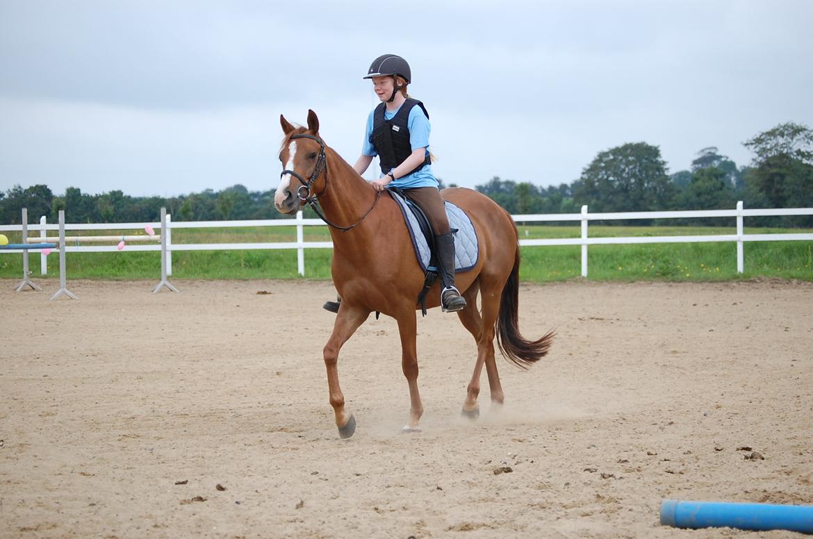 DSP Casino billede 6