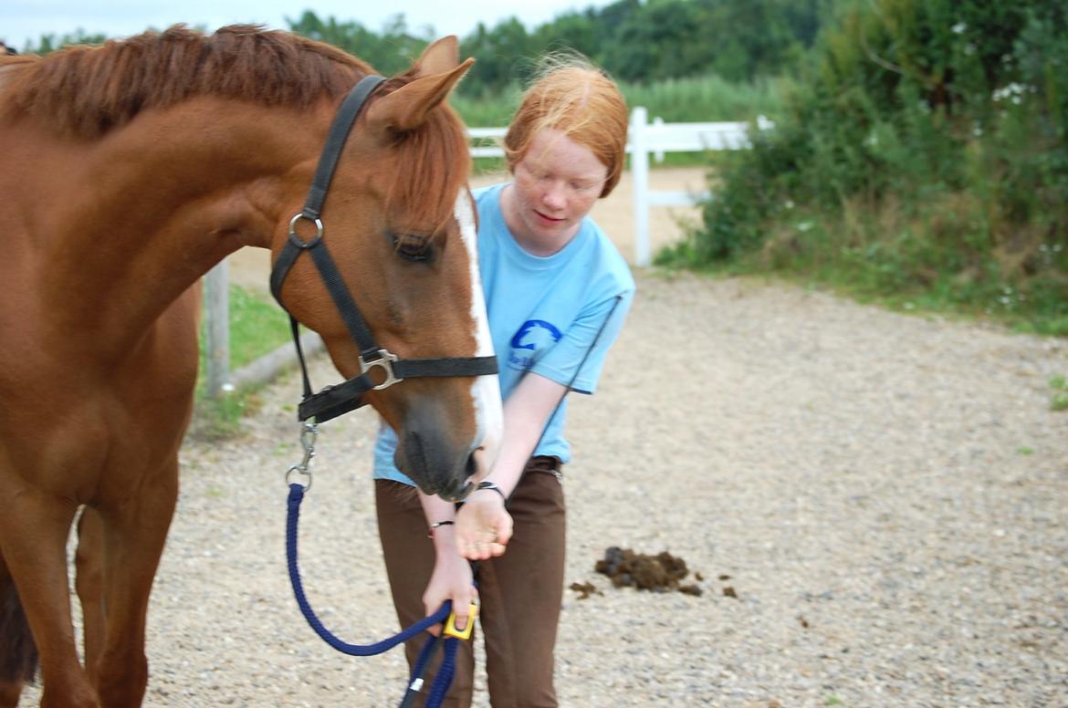 DSP Casino billede 3