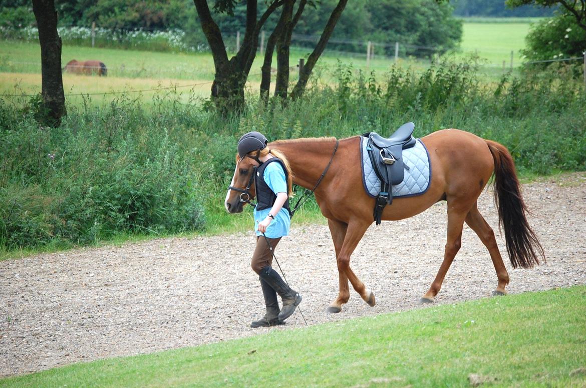 DSP Casino billede 5