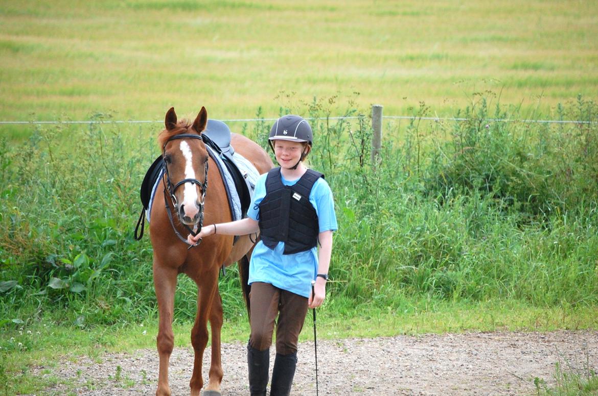 DSP Casino billede 17