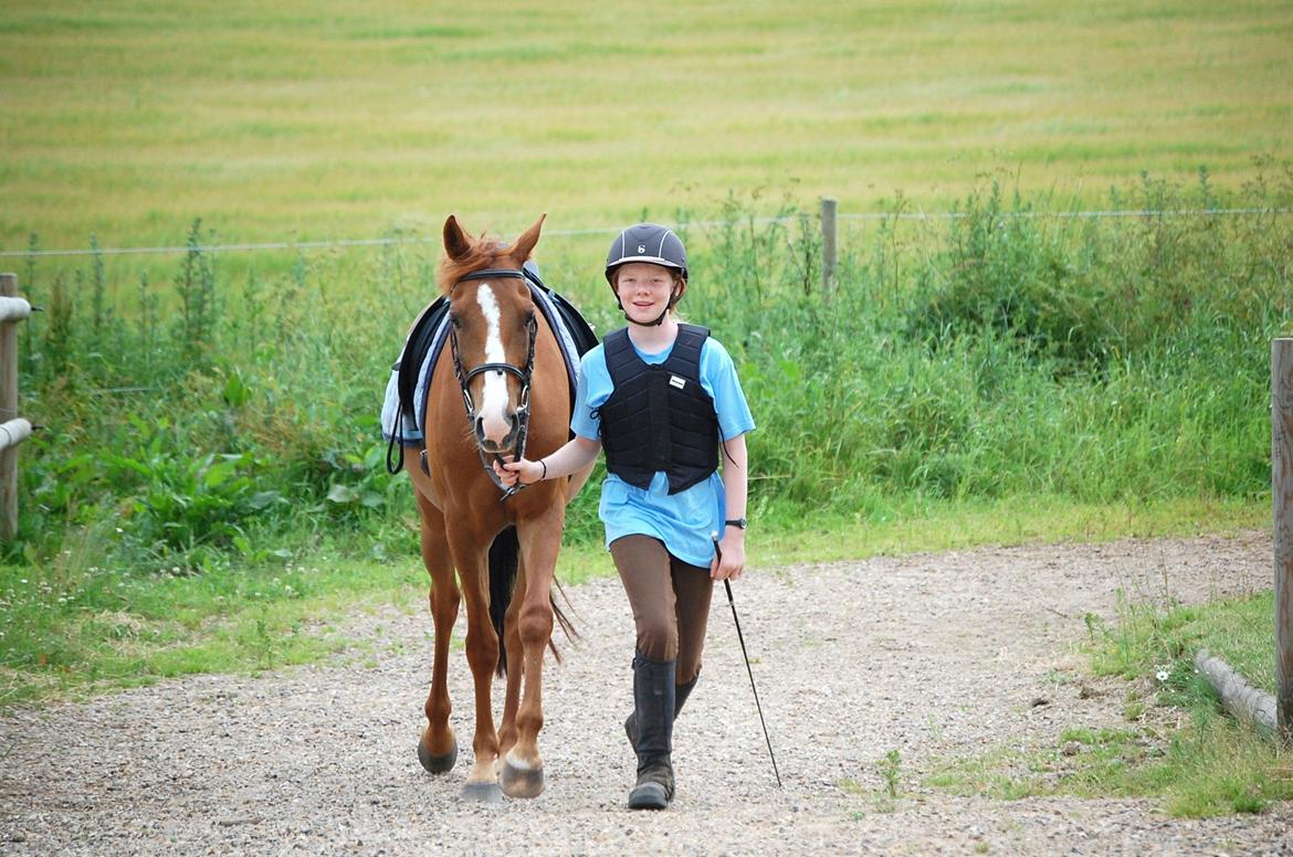 DSP Casino billede 14