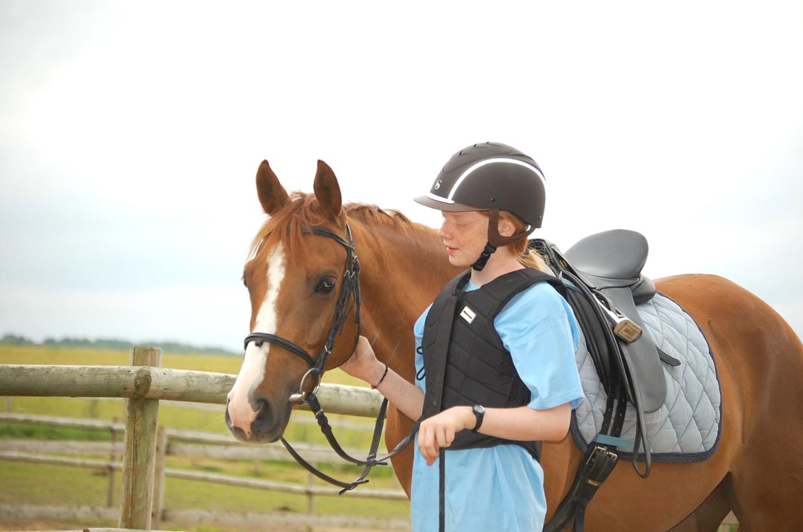 DSP Casino billede 10