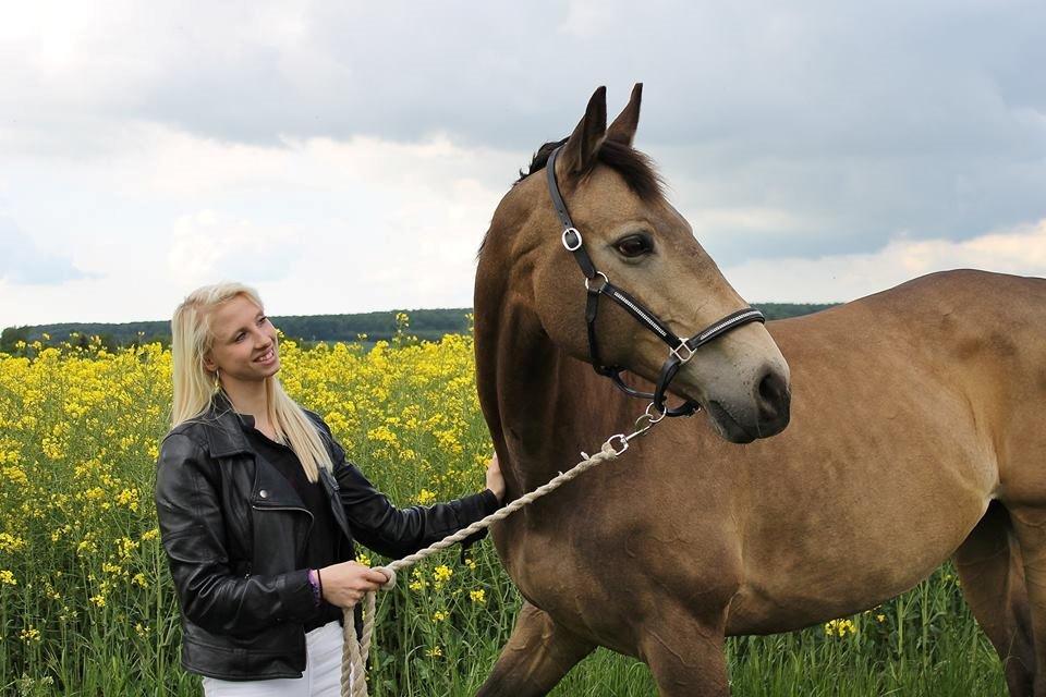 Palomino ØSTRUPGÅRDS COCO CHANEL gl. Lån billede 4