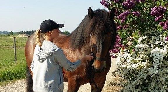 Belgier Bormosens Rollo - Jeg nyder hvert sekund med dig. Tanken om at jeg måske snart skal sige farvel til dig en sidste gang, slår mig stille ud.  Vi elsker dig min skat billede 12