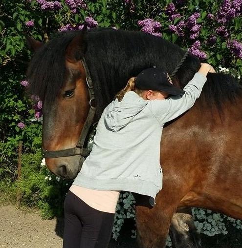Belgier Bormosens Rollo - Ik gi' op min dreng. Kæmp sammen med os - Du kan ikke forlade os endnu. Du jo Rollo .. billede 4