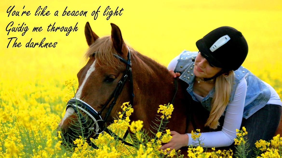 Anden særlig race Sasha billede 13