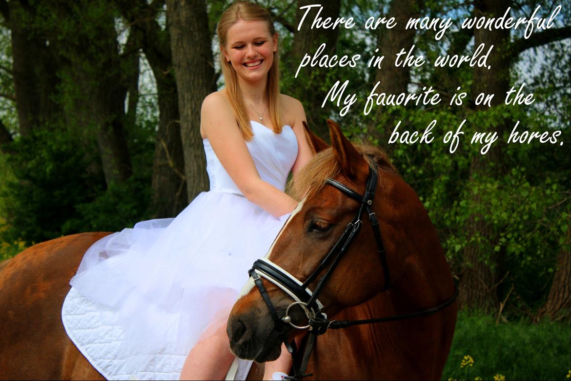 Anden særlig race Sasha billede 7