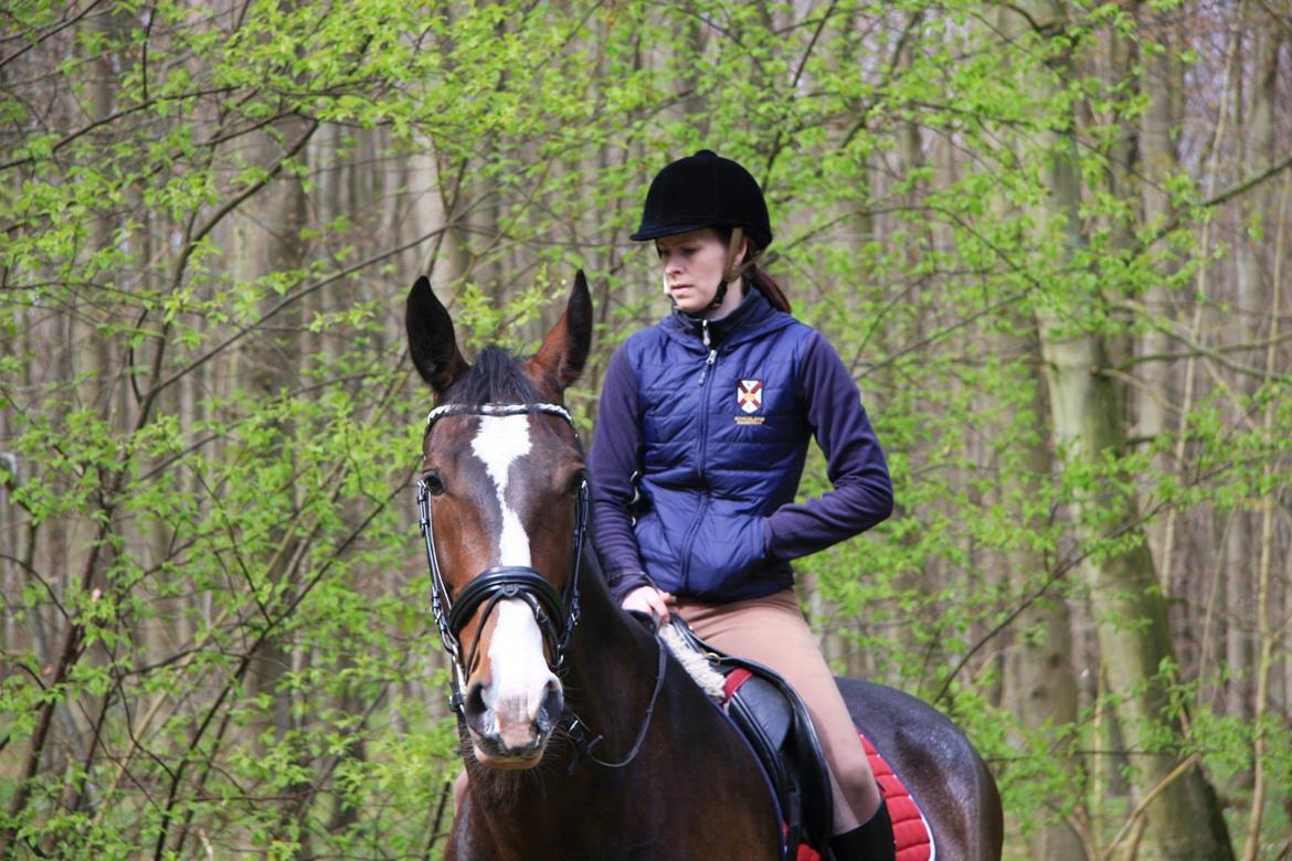 Hollandsk Varmblod Annika - Påsketur 2014 billede 17