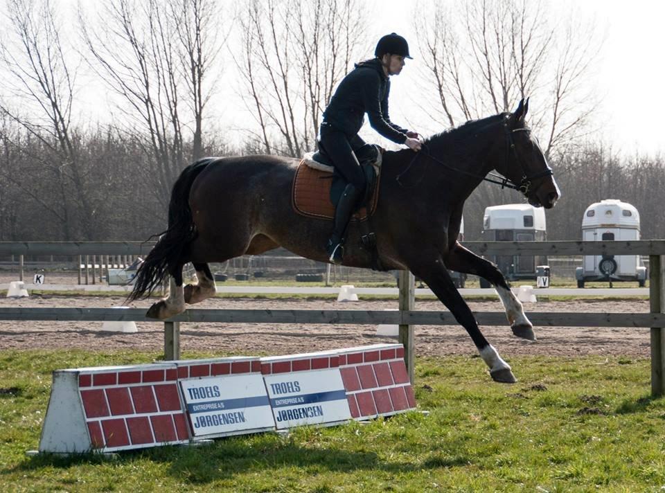 Hollandsk Varmblod Annika - Hooooop :P billede 14