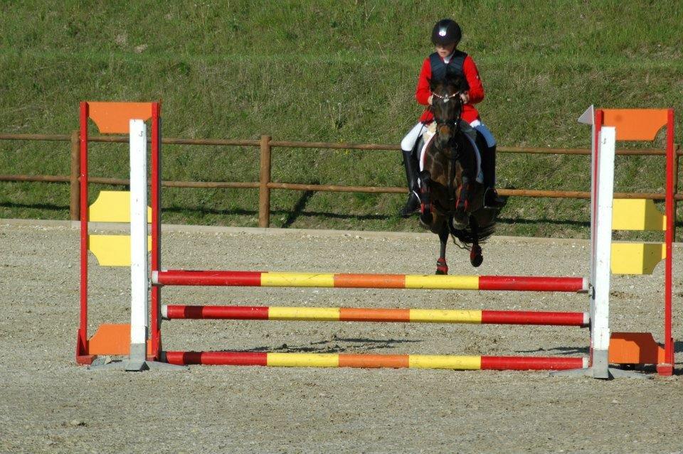 Welsh Pony (sec B) Bjerregaards Katja (Damp-Åse) billede 7