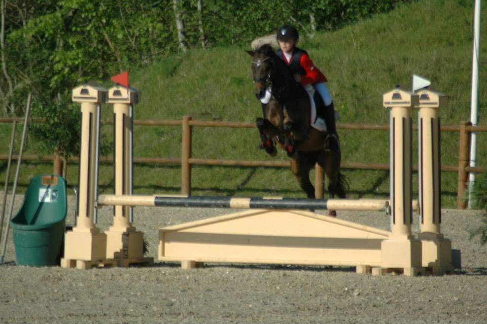 Welsh Pony (sec B) Bjerregaards Katja (Damp-Åse) billede 6