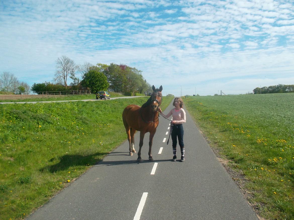 Anden særlig race Sussi en pony der betyder alt - På tur for første gang billede 6
