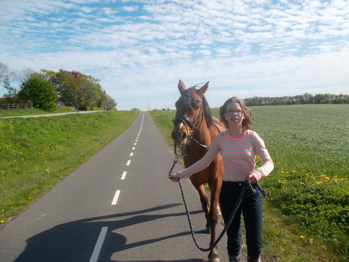 Anden særlig race Sussi en pony der betyder alt - Igen på tur  billede 7