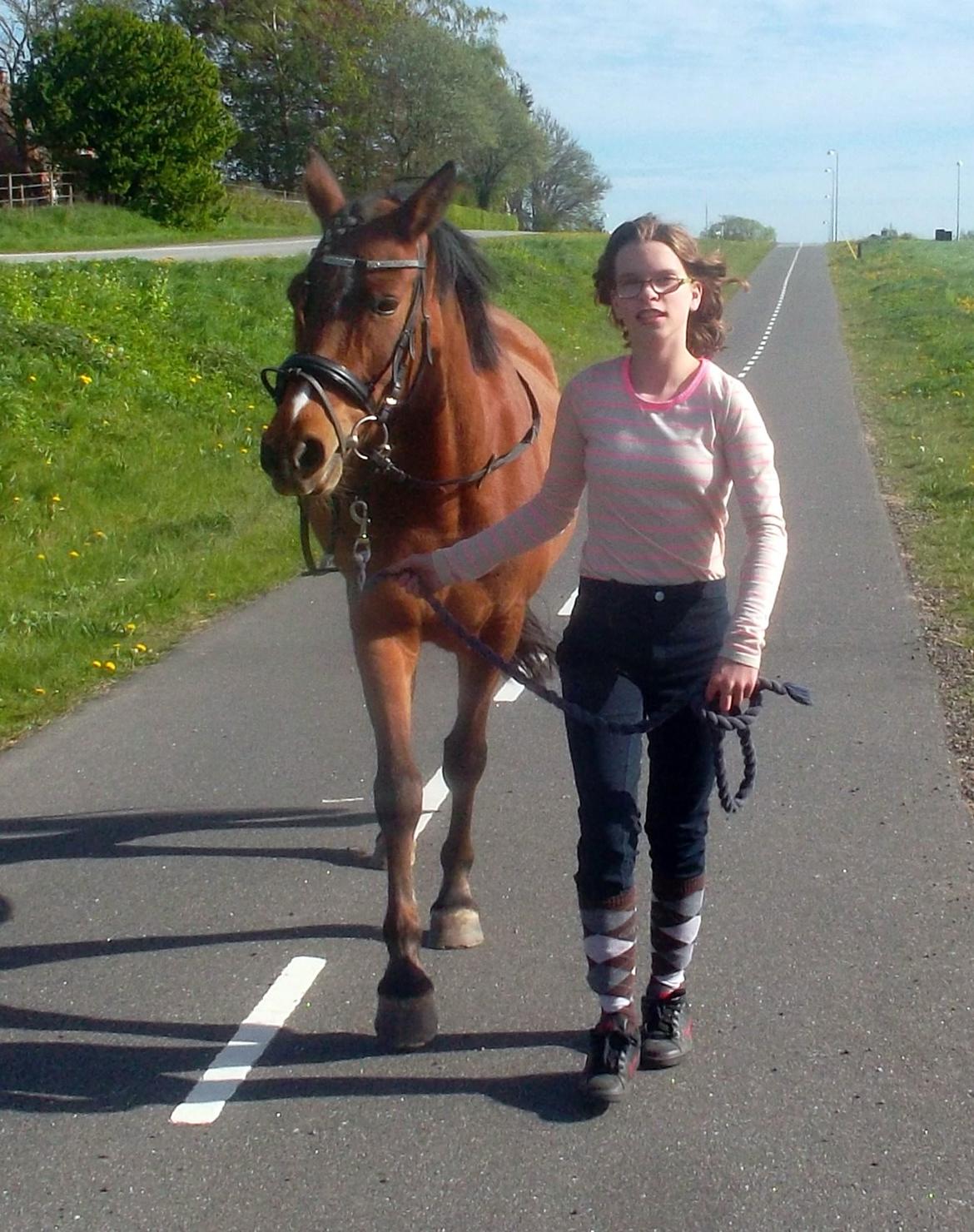 Anden særlig race Sussi en pony der betyder alt - Igen på tur billede 9