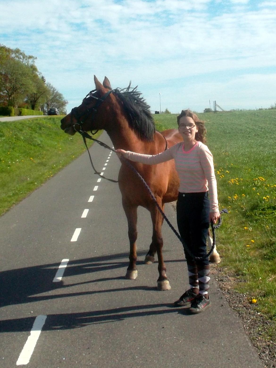 Anden særlig race Sussi en pony der betyder alt - dejlige pony på tur  billede 8