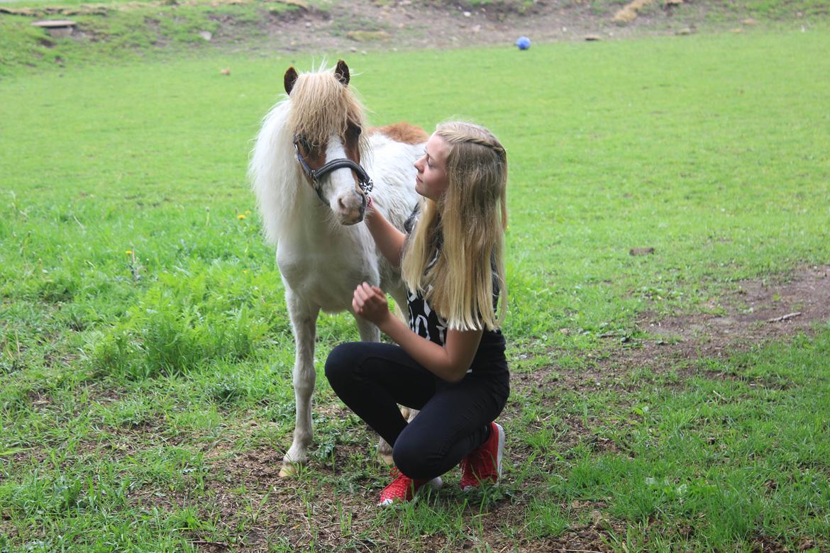 Miniature FELIX AF GOSVIG - Min <3 billede 22