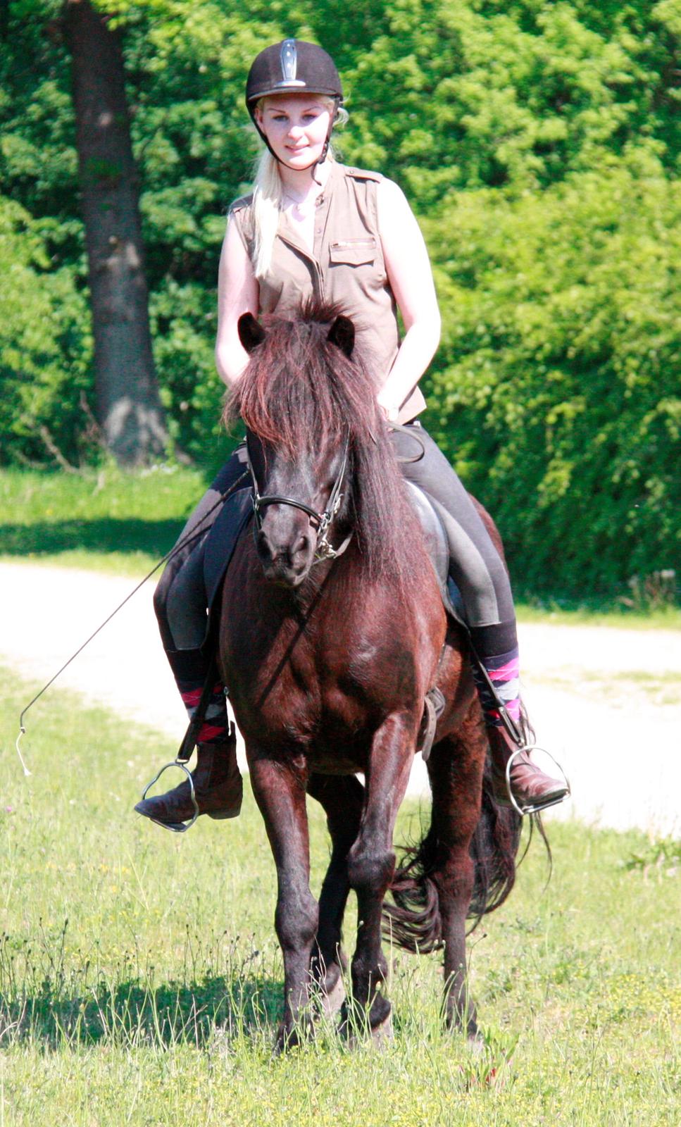 Islænder Pertla billede 15