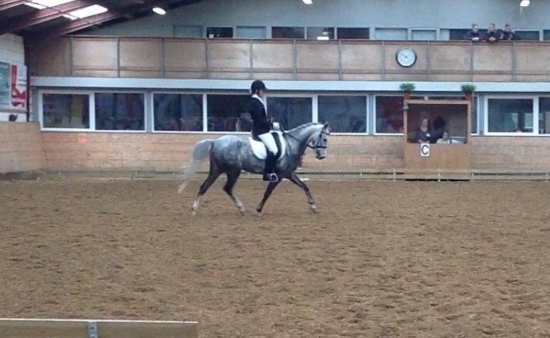 Anden særlig race Seruphus' Diddl billede 17