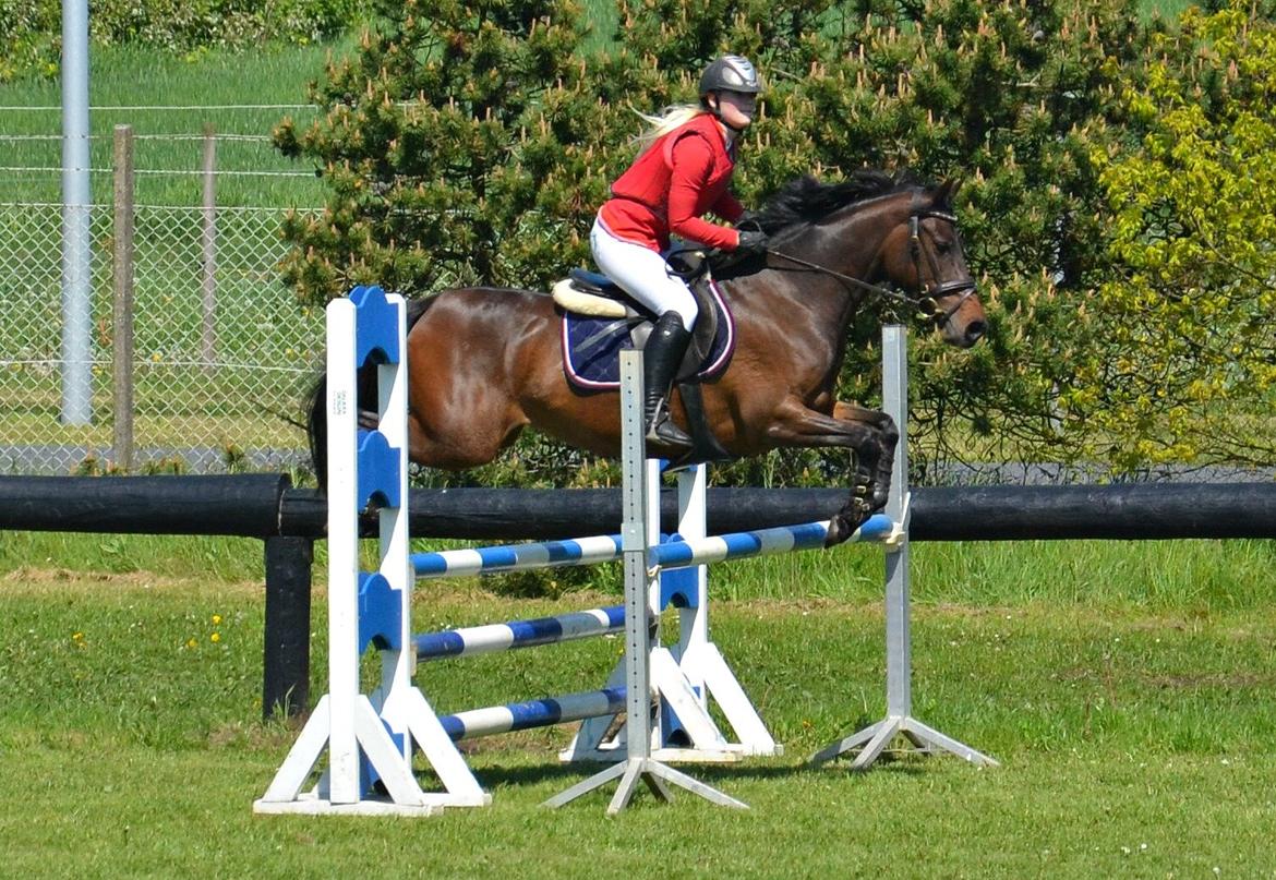 DSP Day-lights naomi - Smukke i la holstebro billede 18