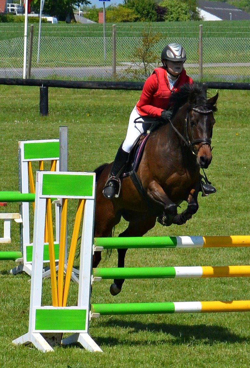 DSP Day-lights naomi - Holsebro 2014 billede 37