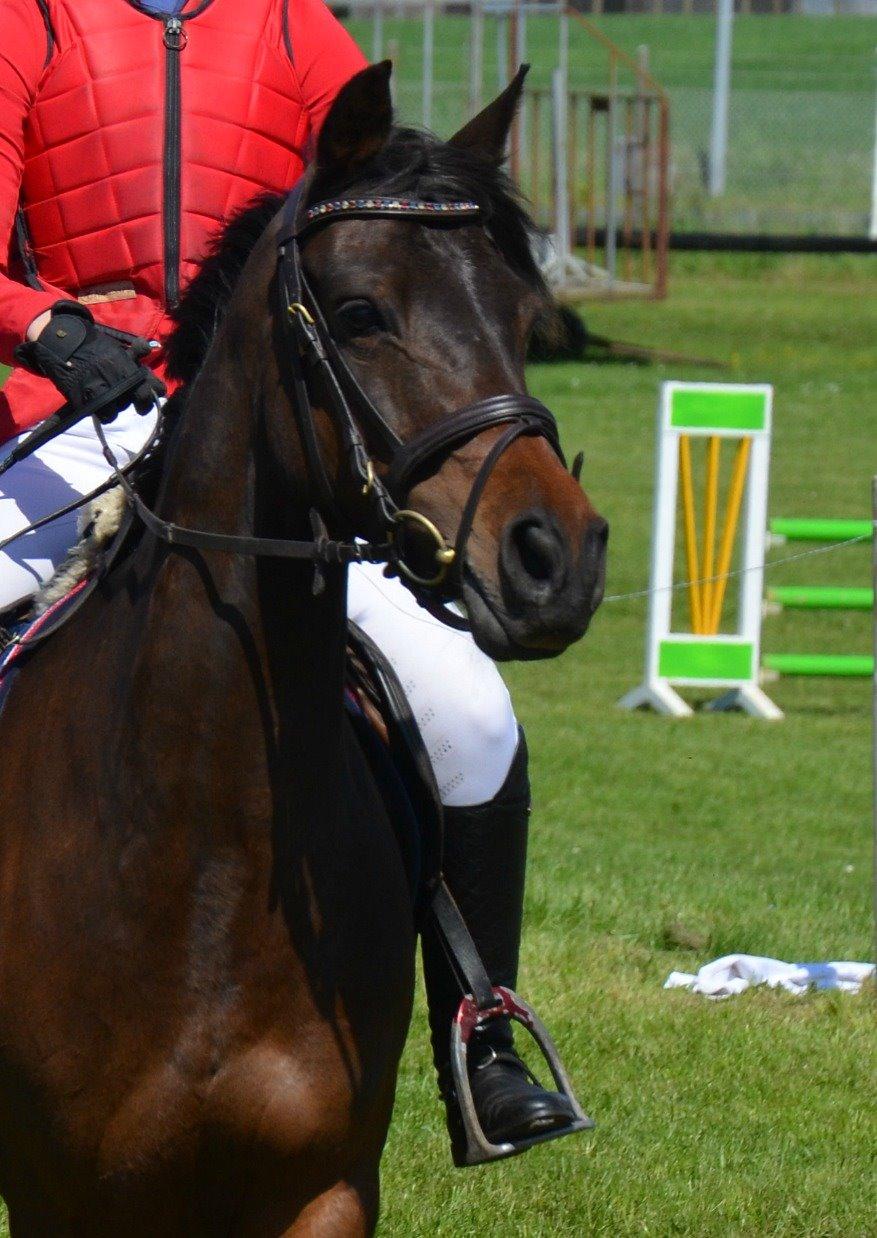 DSP Day-lights naomi - Du er og bliver så smuk!! billede 20