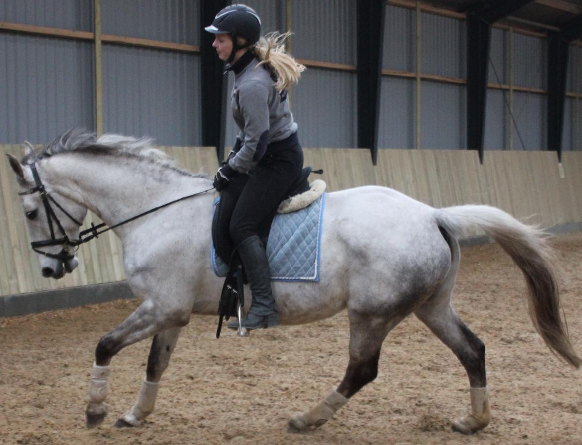 Anden særlig race Zera billede 26