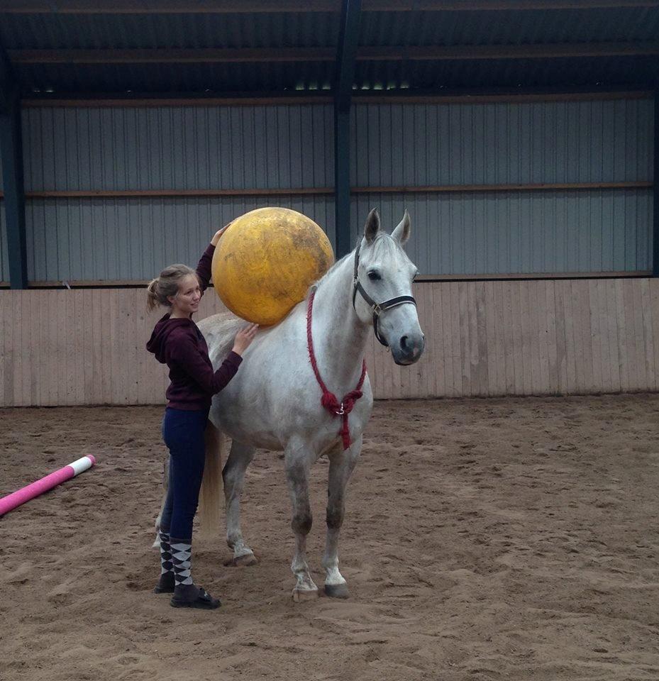 Oldenborg Kahlua - 11-05-2014 Vi leger med en bold billede 2