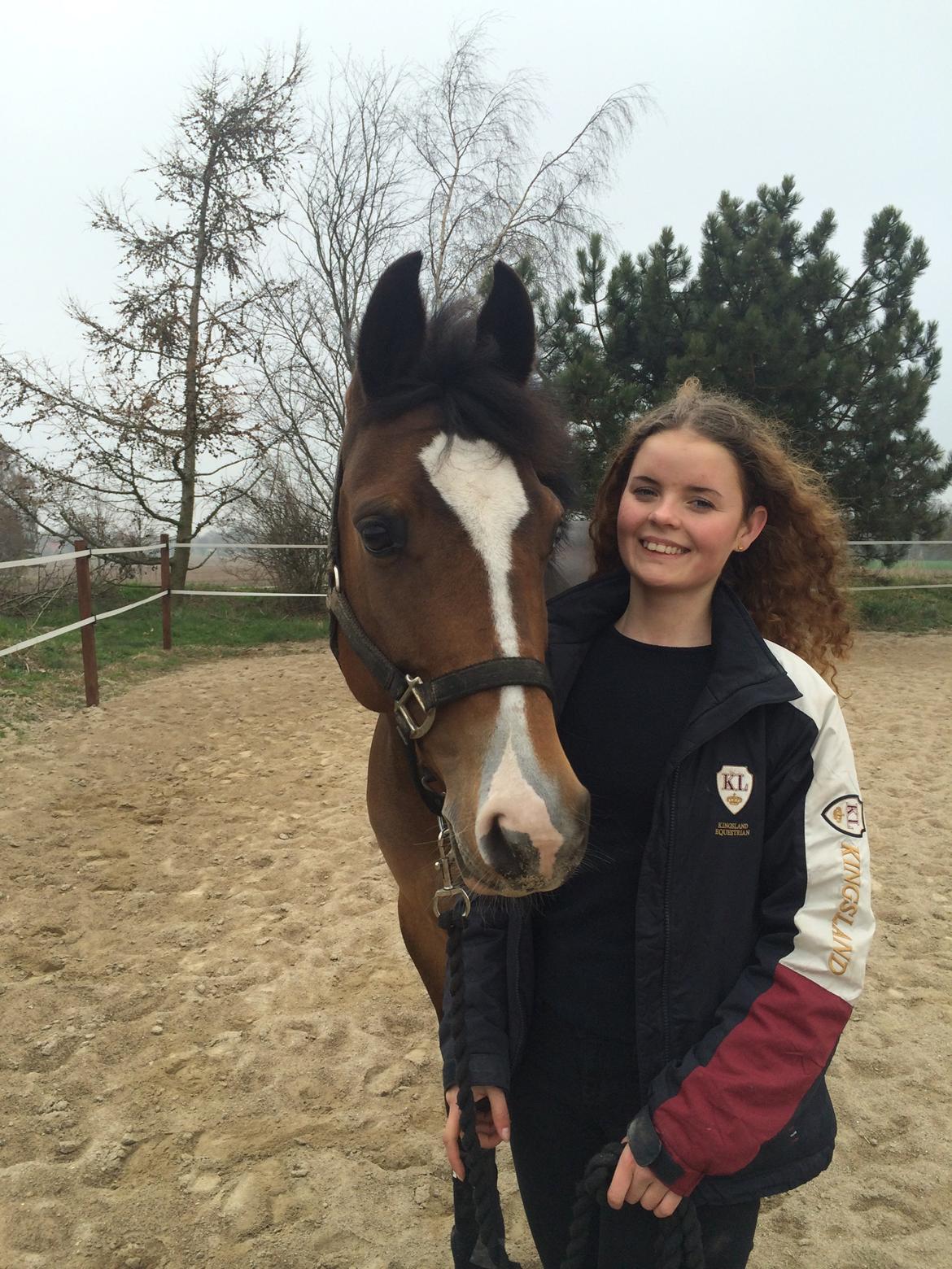 Tysk Sportspony Emira C *A-pony* billede 3