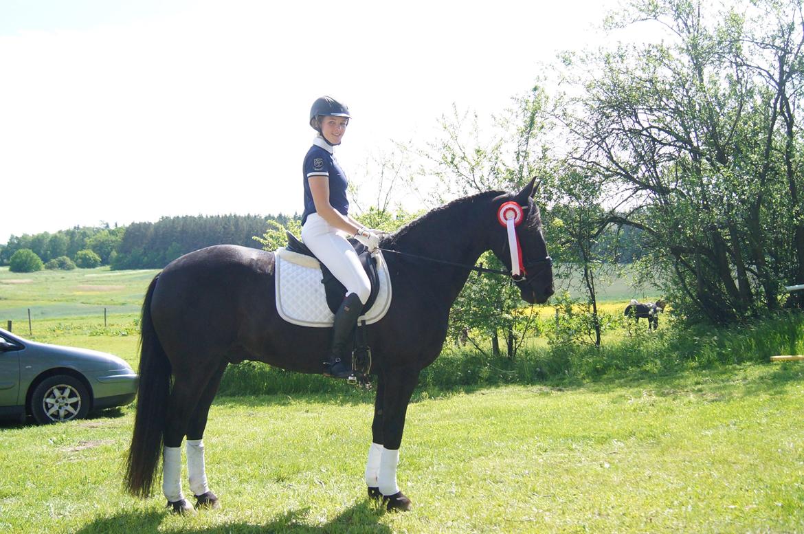 Anden særlig race KJÆRSGAARDS MOONLIGHT billede 8