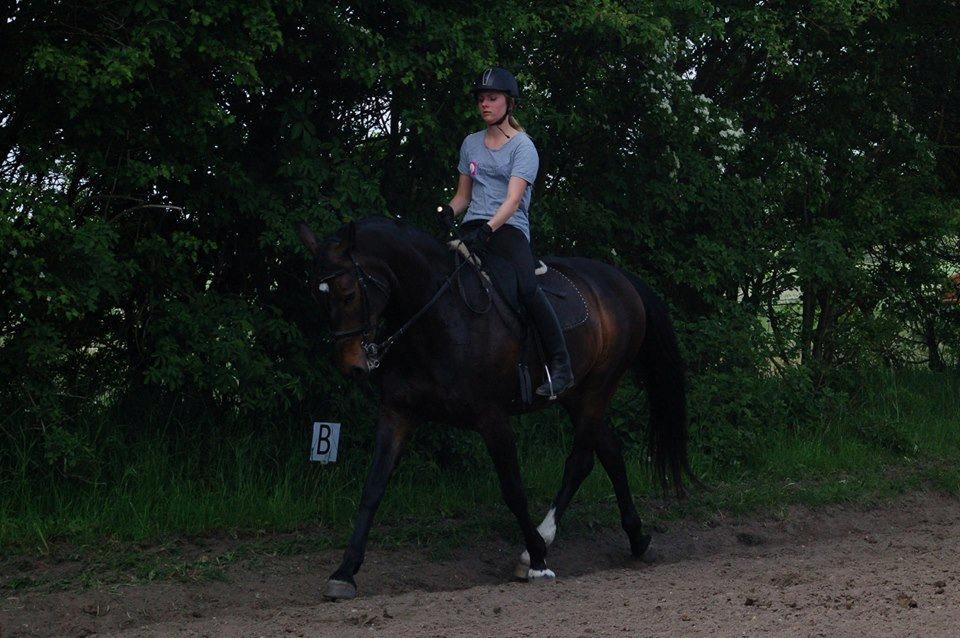 Anden særlig race Freja billede 18