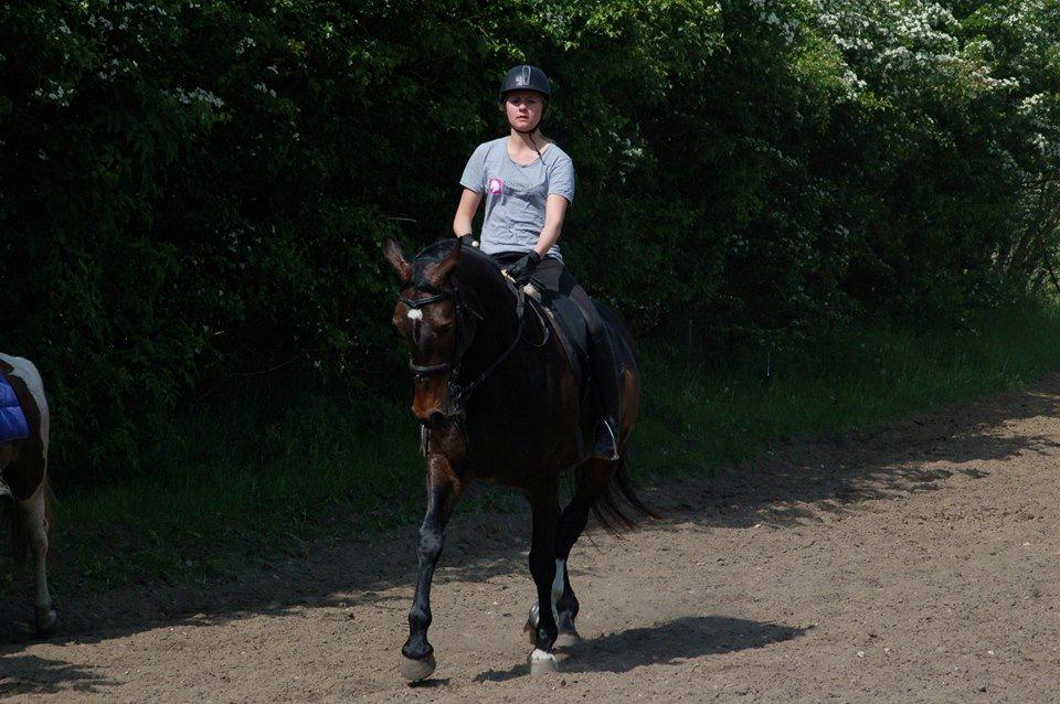 Anden særlig race Freja billede 13