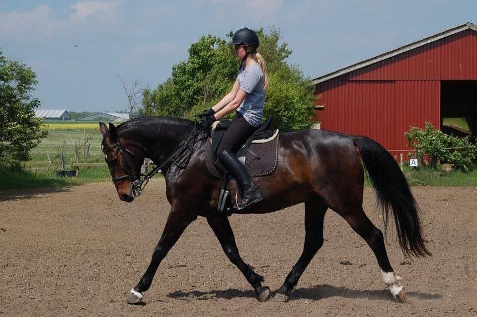 Anden særlig race Freja billede 20